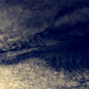 Meet your Posher, Eli